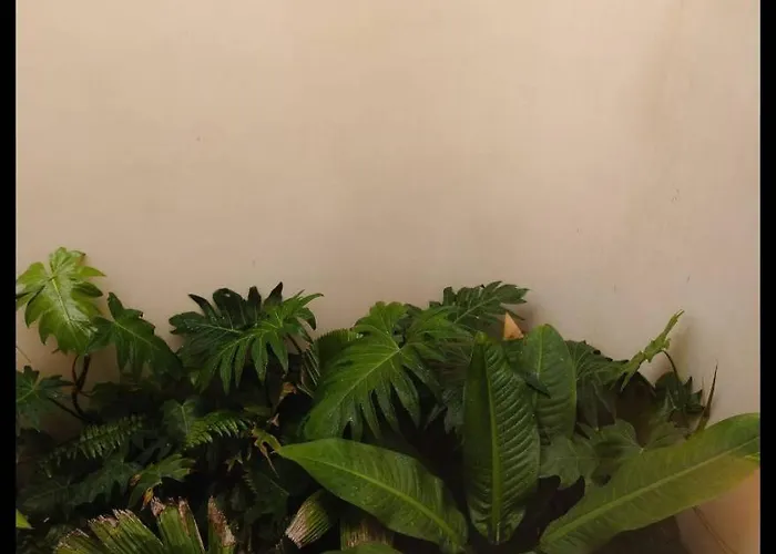 M11 Casa Leela - Luxe 5br With 2 Pools Inn Tulum
